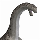 Camarasaurus 08 A_0001